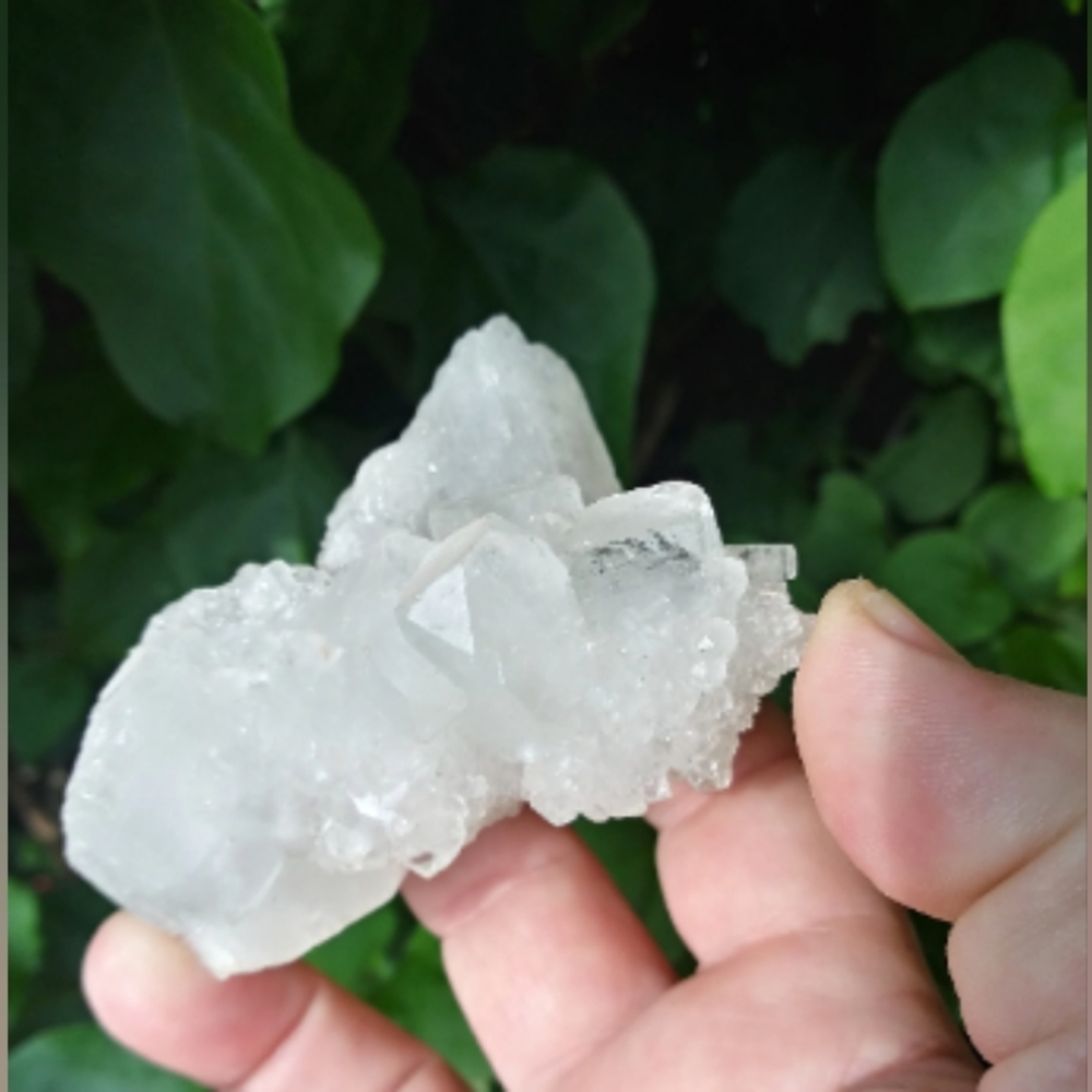 Apophyllite Crystal Cluster - Picture 10 of 10
